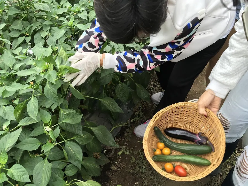 Farm Inn Murase Shikaoi  Japan